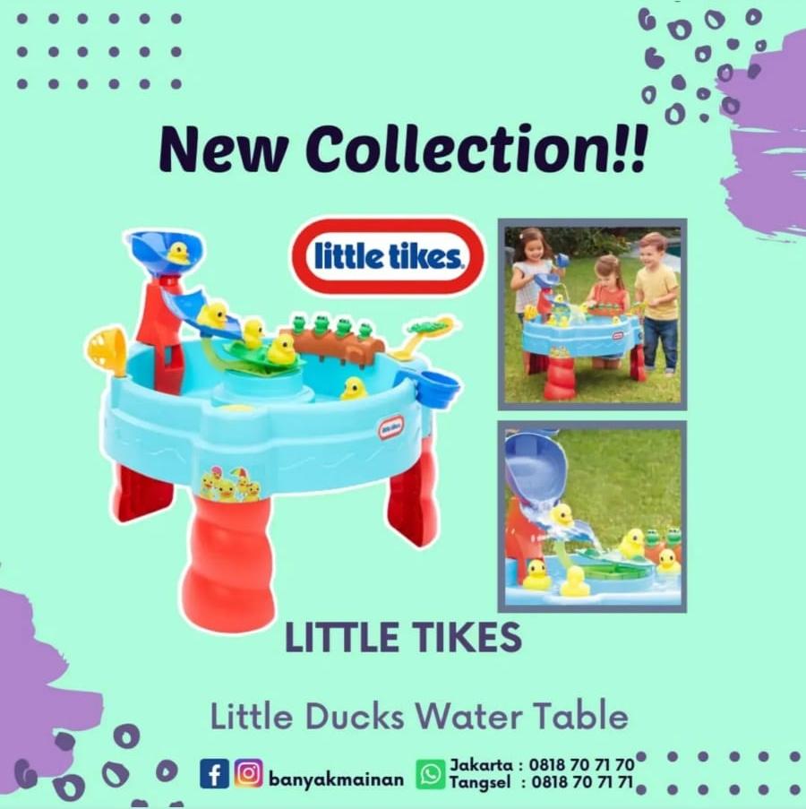 LITTLE DUCKS WATER TABLE